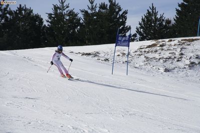 Premi per vedere l'immagine alla massima grandezza