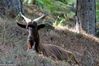 Nome del file=JX1A5221.jpg
Dimensione del file=428KiB
Dimensioni=1600x1064
Aggiunta il=Dic 08, 2018 JX1A5221.jpg