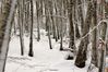 Nome del file=JX1A8450.jpg
Dimensione del file=536KiB
Dimensioni=1600x1068
Aggiunta il=Dic 08, 2018 JX1A8450.jpg