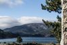 Nome del file=_X1A4120.jpg
Dimensione del file=385KiB
Dimensioni=1600x1067
Aggiunta il=Dic 08, 2018 _X1A4120.jpg