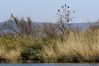Nome del file=_X1A6382.jpg
Dimensione del file=604KiB
Dimensioni=1600x1067
Aggiunta il=Dic 08, 2018 _X1A6382.jpg